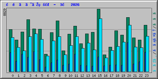 時間ごとの状況 -  3月 2026